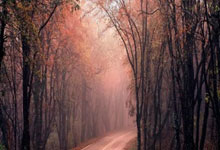 九游娱乐入口-绿茵风云录：当欧洲杯的变局遇上委内瑞拉的野望