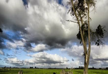 九游体育APP下载-瑞士运动员勇夺举重比赛银牌——荣耀背后的故事