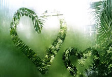 九游VIP-南大王血脉觉醒！拜仁慕尼黑的卫冕征途与王朝野望