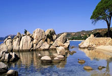 九游体育官方入口-塔斯马尼亚联球迷现场助威，激发球队夺冠斗志