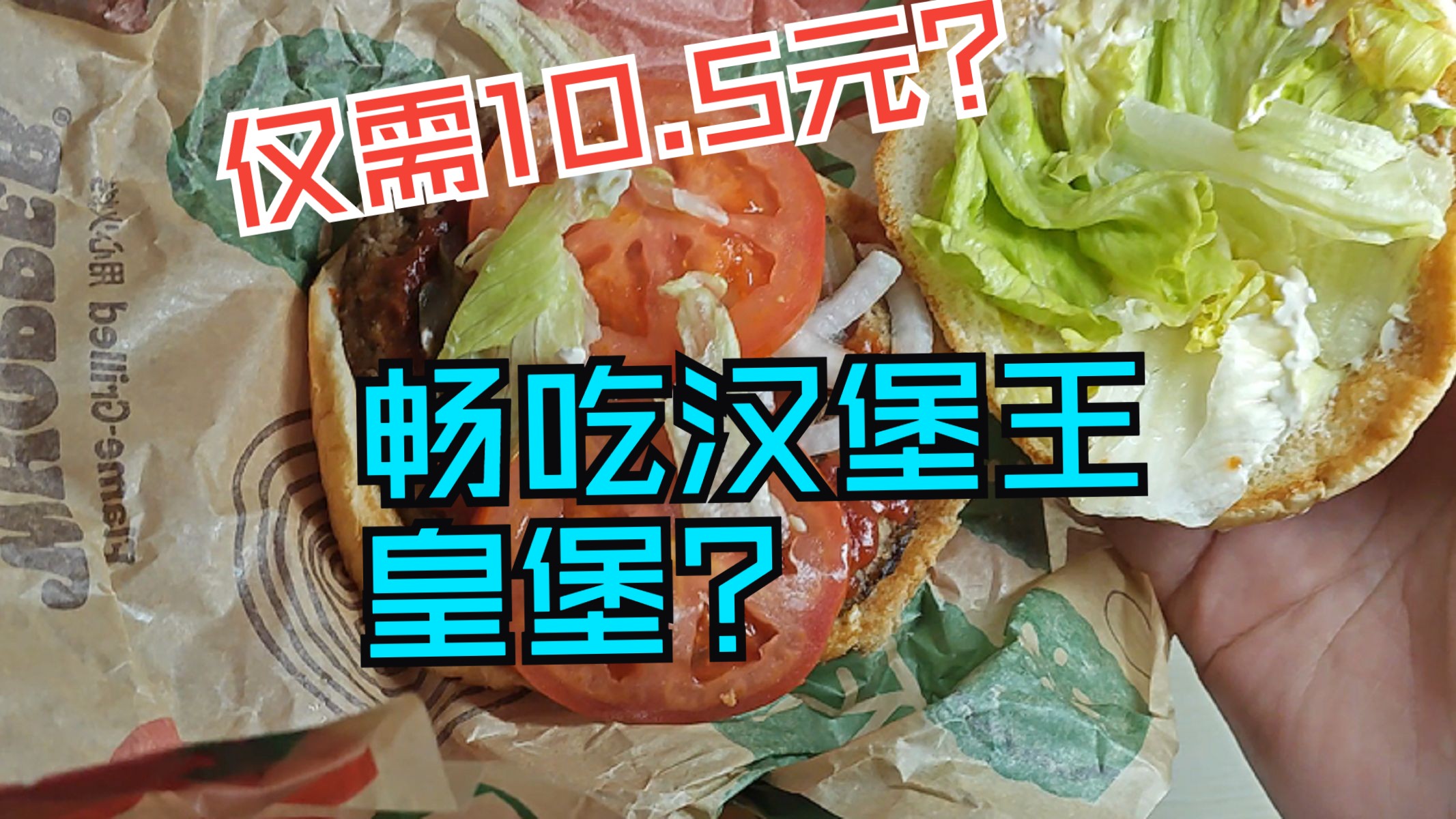 包含汉堡遭遇惨败，保级形势日益严峻的词条