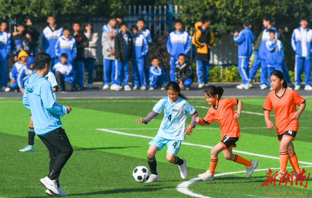 运动员们在绿茵场上呈现出最完美的状态